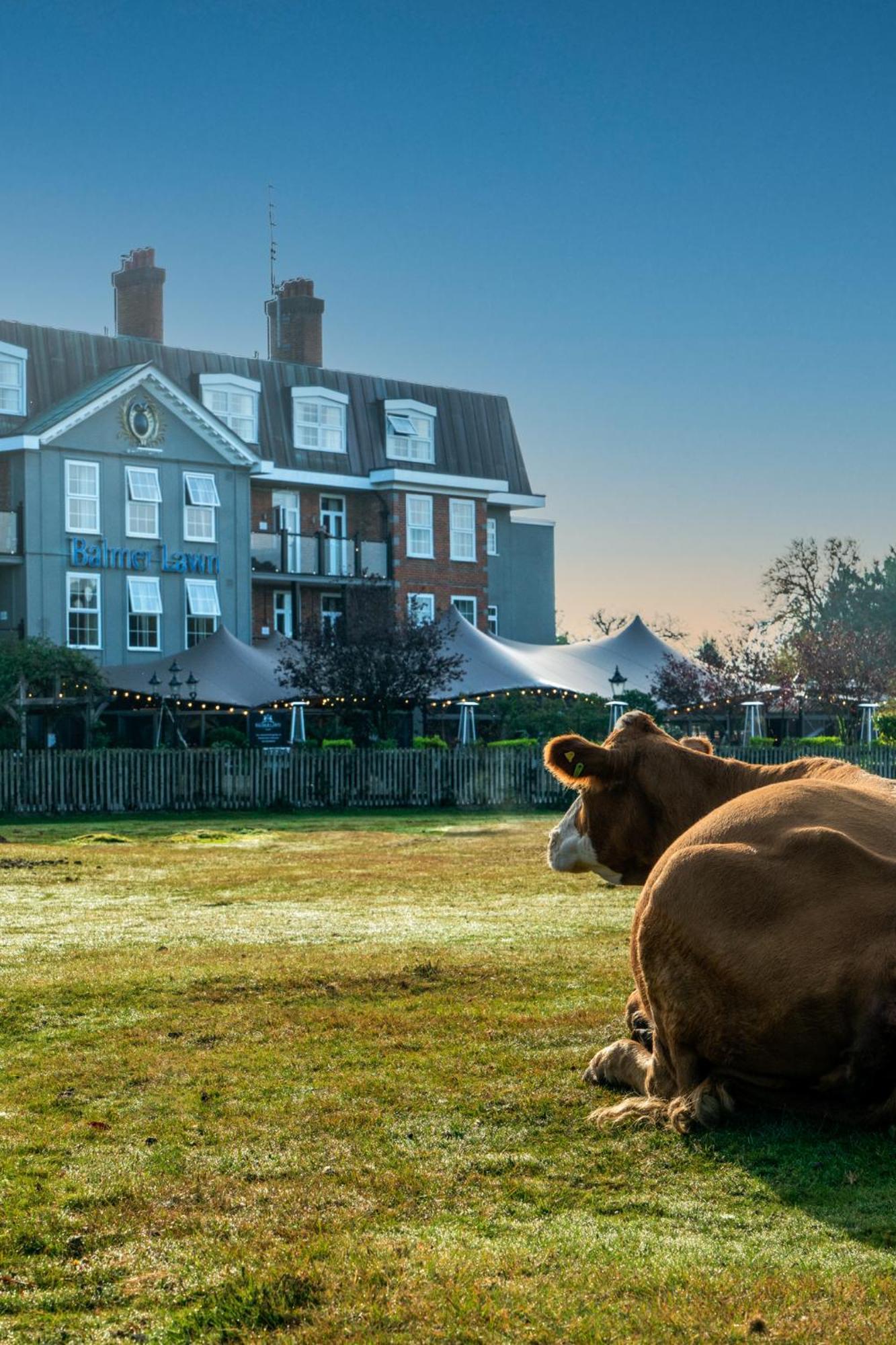 Hotel Balmer Lawn Brockenhurst Exterior foto